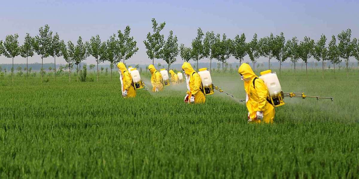 Increasing Need to Increase Crop Yield and Quality to Boost the Growth of the Europe Crop Protection Chemicals Market