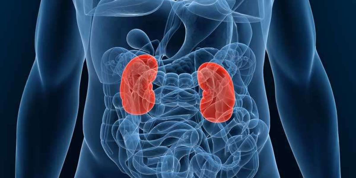 2023 End-Stage Renal Disease Market | Report By 2033