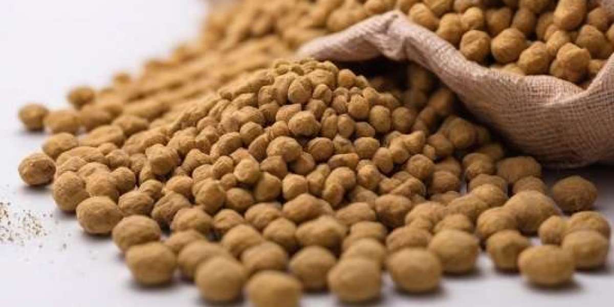 Prefeasibility Report on a Animal Feed Manufacturing Unit, Industry Trends and Cost Analysis