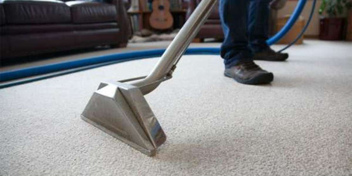 Everything You Need to Know About Carpet Cleaning in Washington DC