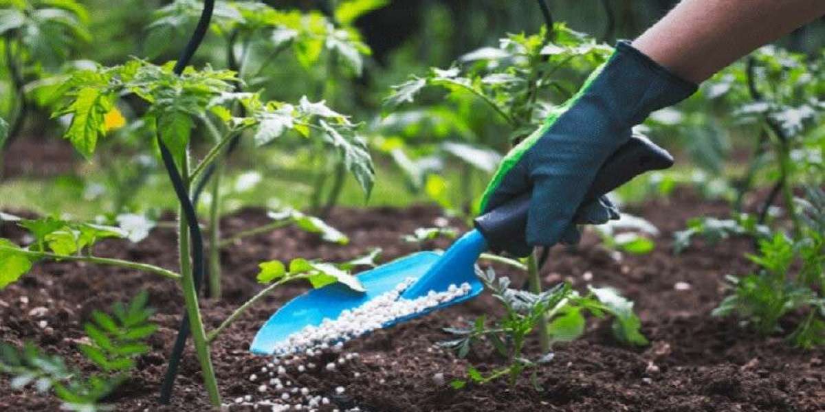 Agricultural Nanotechnology Market May Set New Growth Story