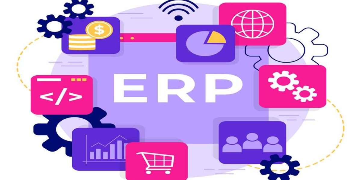 ERP Software Development: Custom IT Solutions for Small Businesses