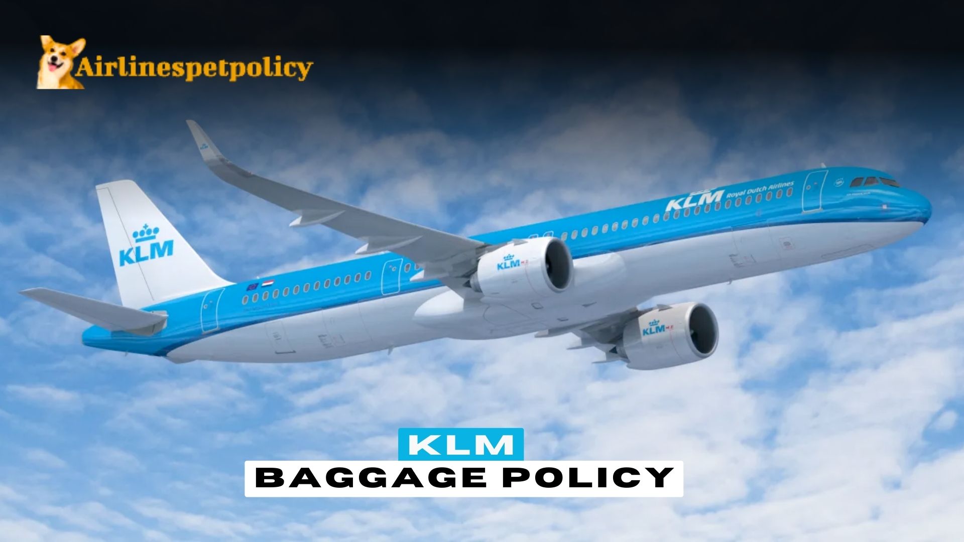 KLM Baggage Policy | Allowance & Fee | +1-844-902-4930 (OTA)