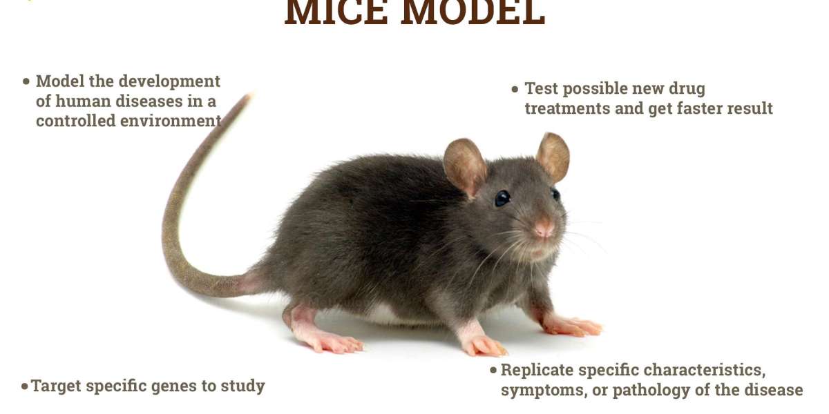 Rising Demand for Personalized Medicine to Drive Mice Model Market