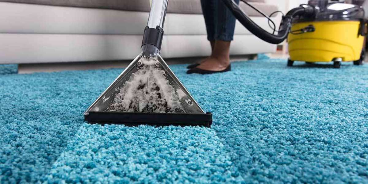 Discover the Best Carpet Cleaning Services in DC: A Comprehensive Guide