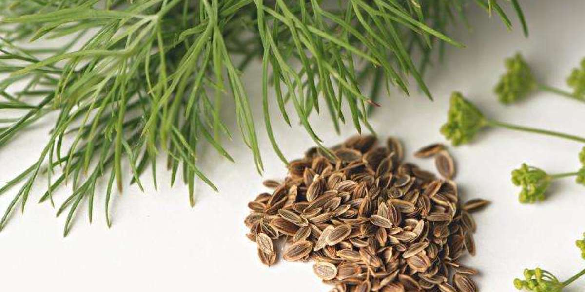 Dill Processing Plant Project Report 2024: Business Plan and Raw Material Requirements | IMARC Group