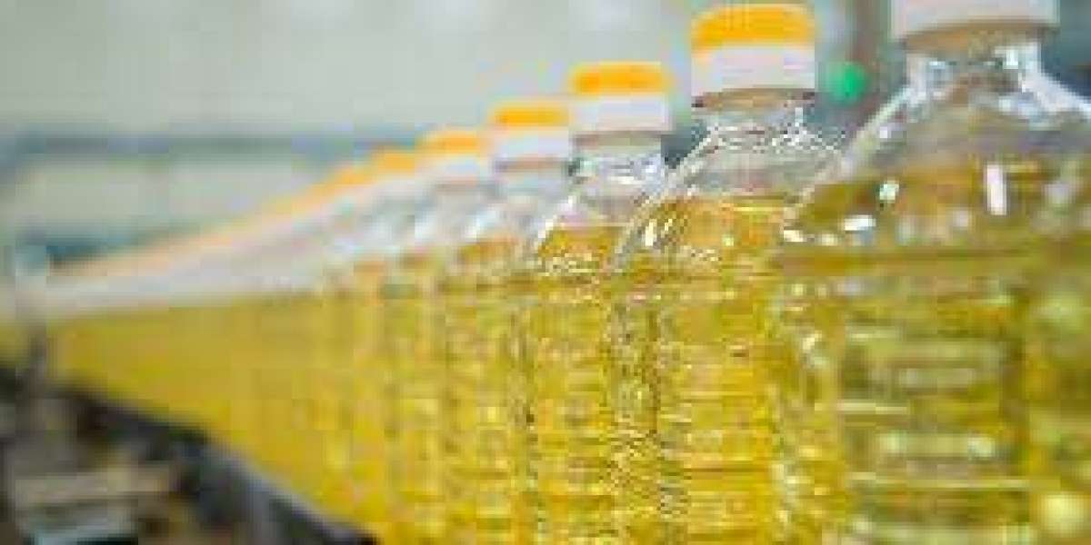 Mexico Vegetable Oil Market Outlook for Forecast Period (2023 to 2030)