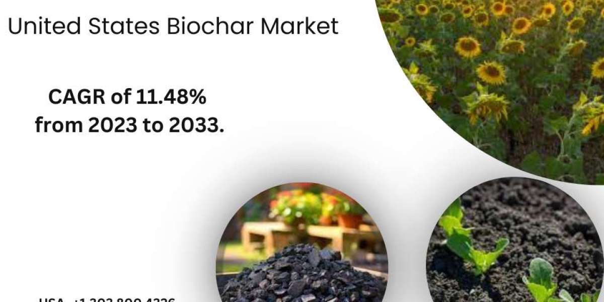 United States Biochar Market Size, Share, Forecasts 2023 – 2033