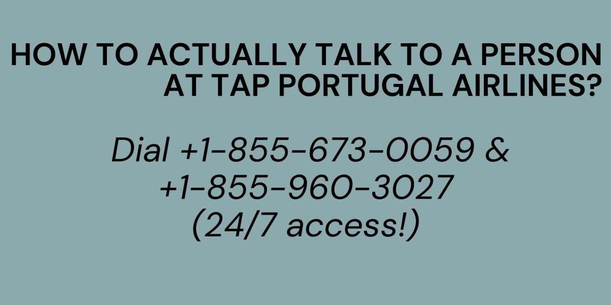 How to Actually Talk to a Person at Tap Portugal Airlines?