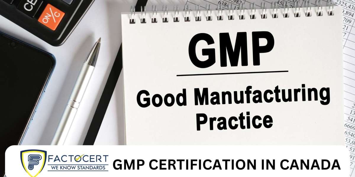 How can I get GMP Certification?