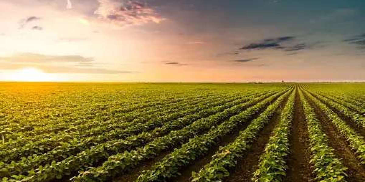 Agriculture Technologies Market Size, Share Analysis, Key Companies, and Forecast To 2030