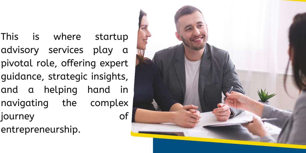 Empowering Start-Ups: Gulf Analytica's Strategic Advisory for Success in the Middle East