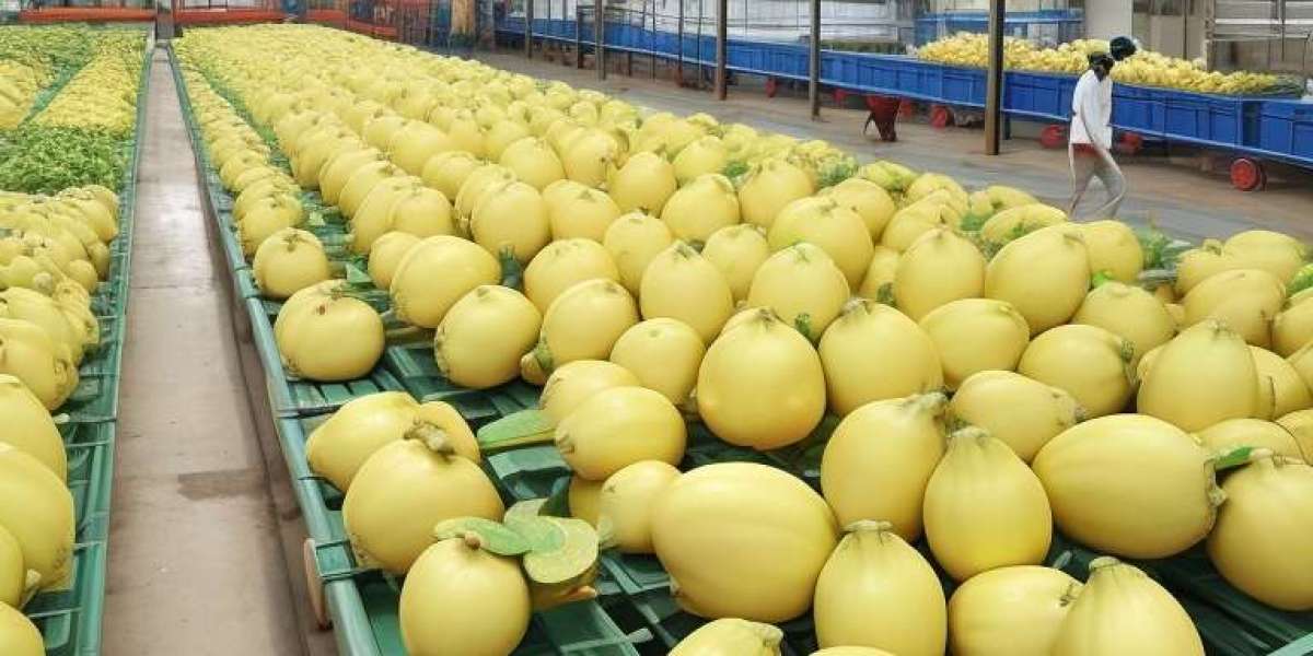 Jackfruit Processing Plant Report 2024 | Industry Trends, Setup, Cost and Economics Details