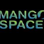 Mango Space Wesley Chapel
