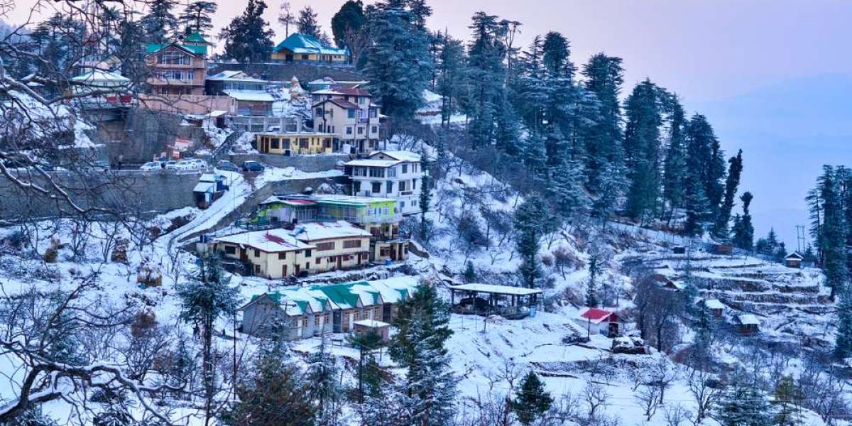 Heavenly Retreats: Shimla Dharamshala Dalhousie Tour Packages Unraveled
