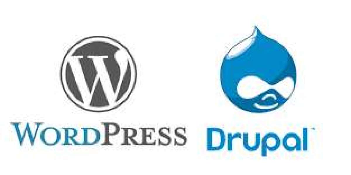 "Drupal SEO Mastery: Tips for Selecting Your Ideal Agency Partner"