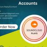 Buy Soundcloud Accounts Roben