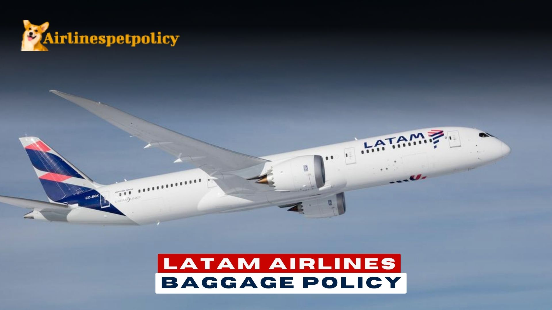 LATAM Baggage Policy | Carry-On | Checked Baggage & Fee