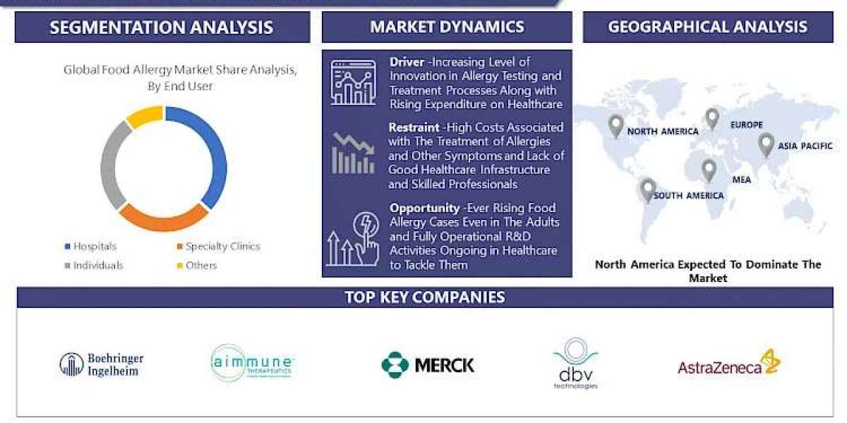 Food Allergy Market Report Update: 2030 Forecast and Trends
