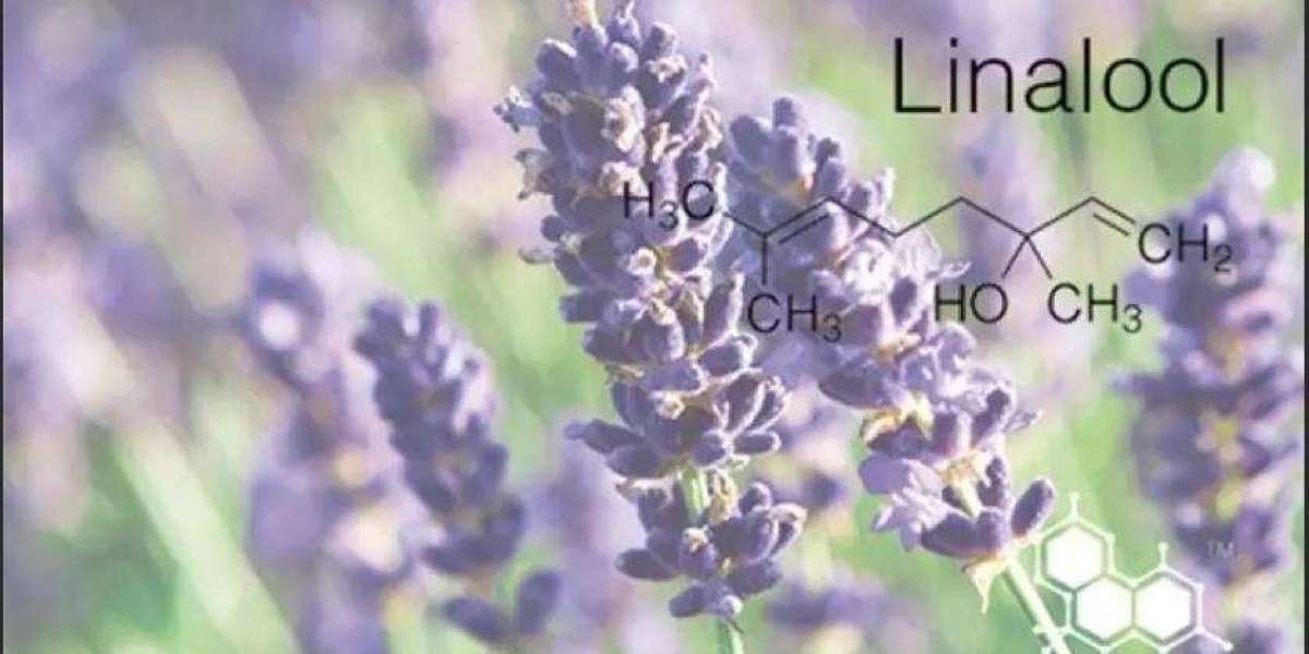 Linalool Market (2030) : Global Trends, Growth, and Forecast