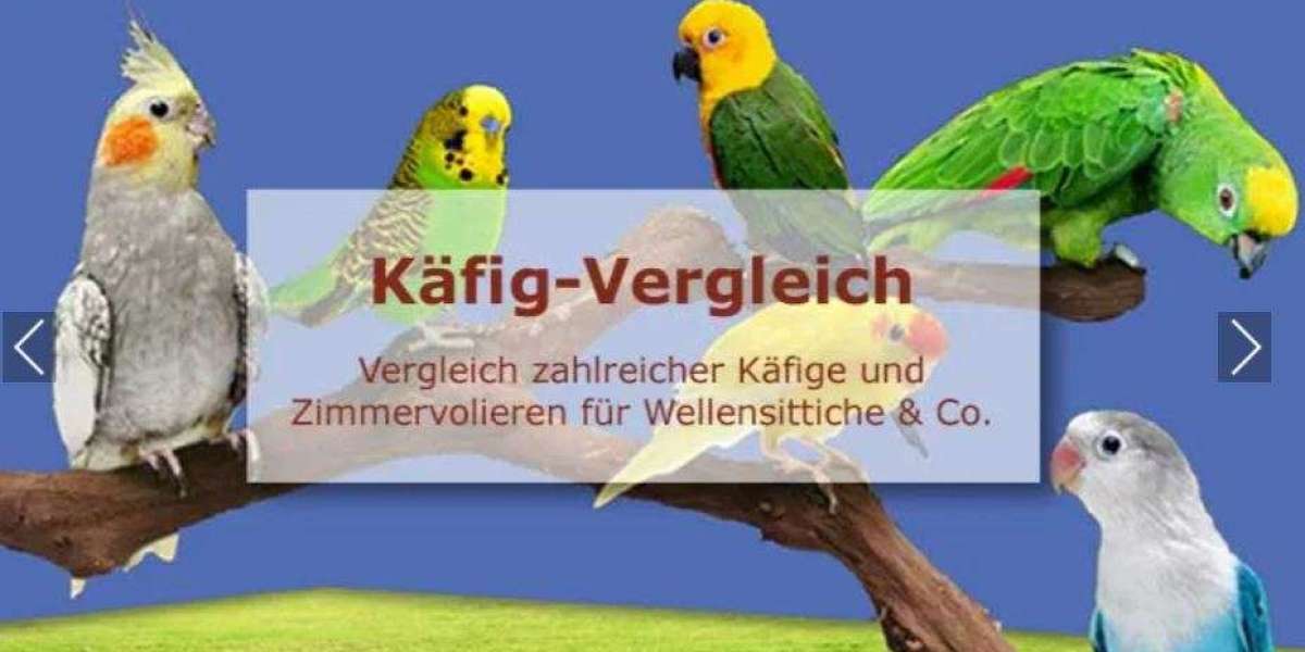 Ein Zufluchtsort für Vogelliebhaber: Ein Online-Shop für alle Vogelfreunde