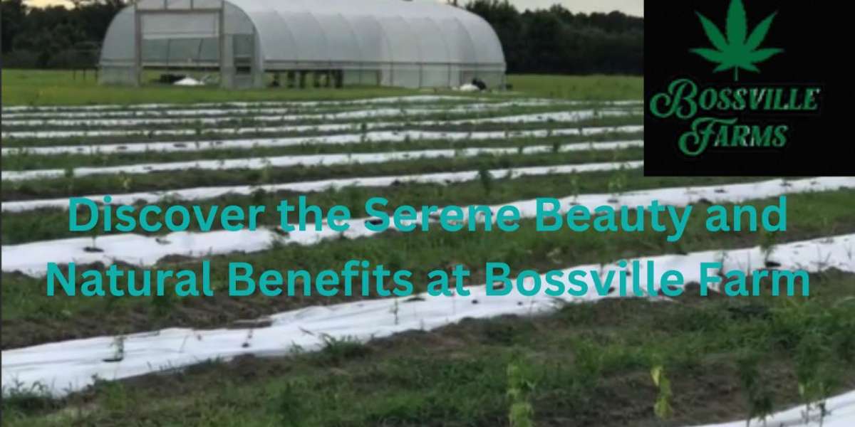 Discover the Serene Beauty and Natural Benefits at Bossville Farm