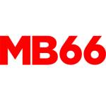 MB66 MB66 Profile Picture