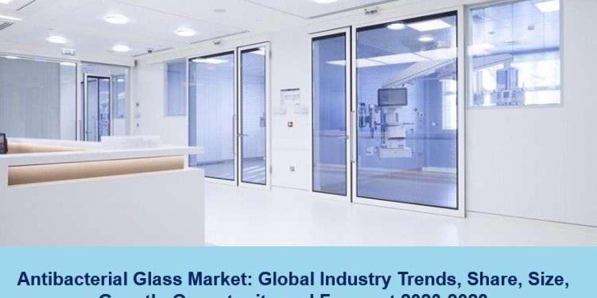 Antibacterial Glass Market 2023 | Trends, Drivers, Growth Opportunities and Forecast 2028