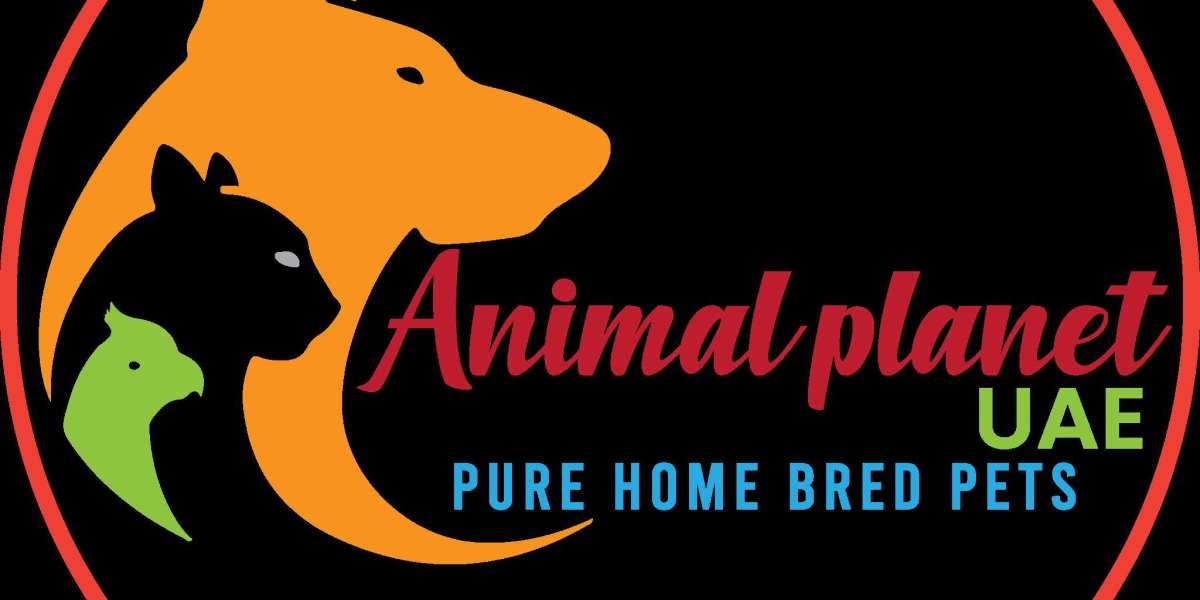 Animal Planet UAE - Pet Shop In Dubai