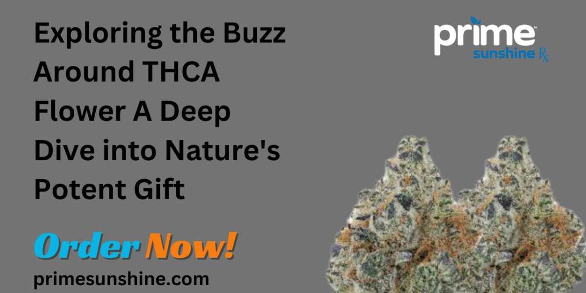 Exploring the Buzz Around THCA Flower A Deep Dive into Nature's Potent Gift