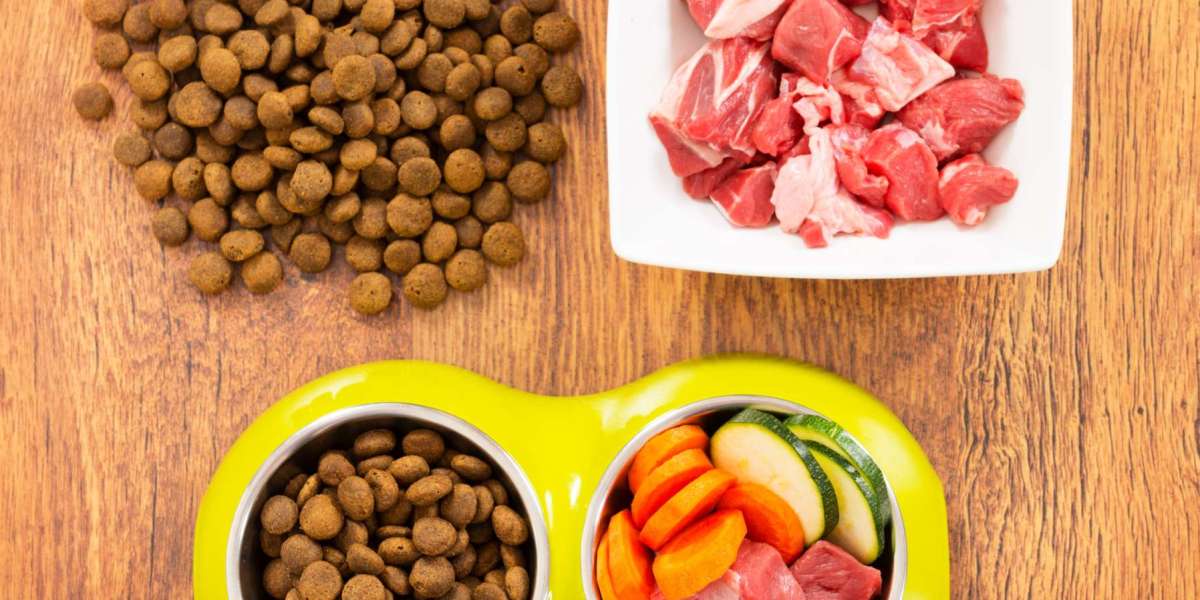 Pet Food Ingredients Market Future Business Scope and Strategies Forecast to 2032