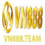 VN888 Team Profile Picture