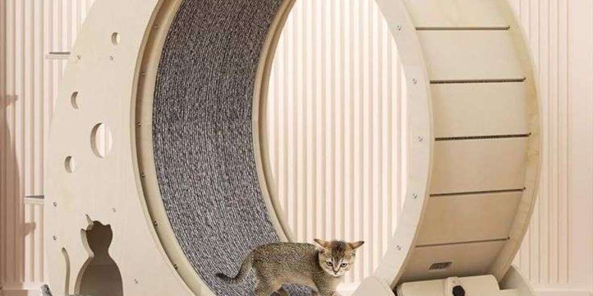 Cat Wheels: Creating a Playground of Excitement for Your Feline Friends