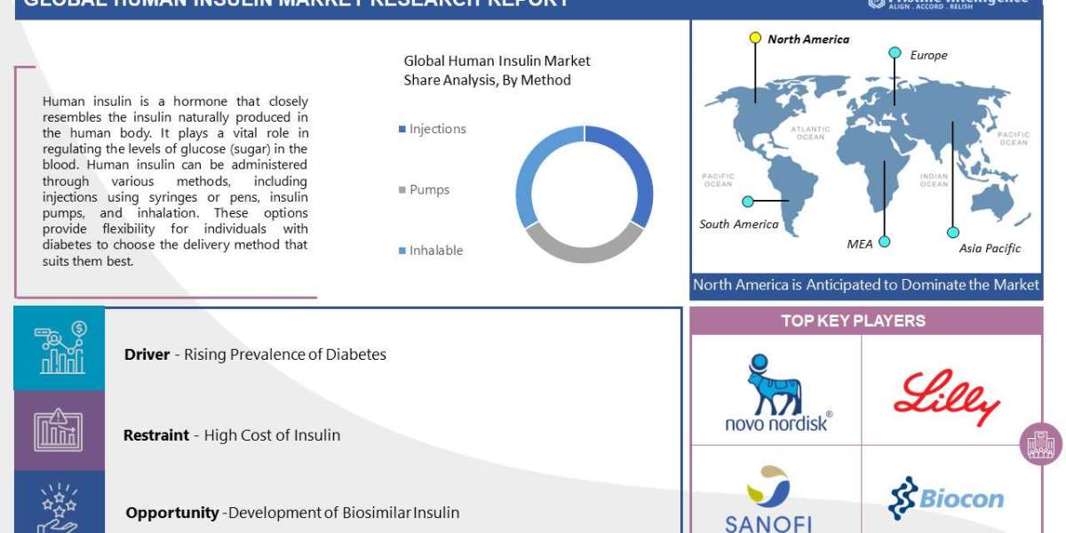 Human Insulin Market Share, Size, Trends, & Industry Analysis Report (2023-2030)