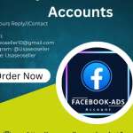 Buy Facebook Ads Accounts usaseoseller74