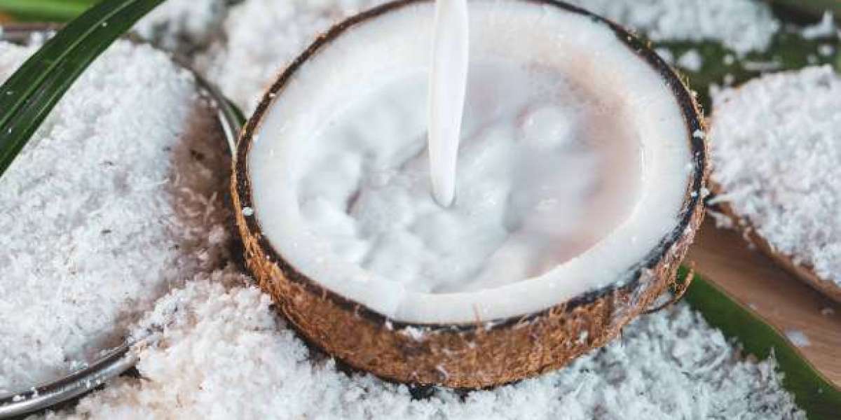 Coconut Milk Market Overview: In-Depth Manufacturers Analysis, Trends, Share Estimation, Global Growth