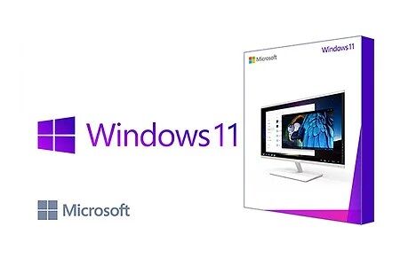 Windows 11 Professional For 1Pc/User- [Latest Edition]