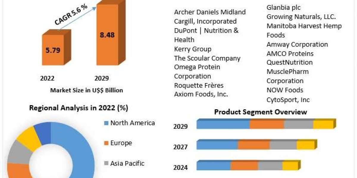 Plant-Based Protein Supplements Market Sizing Tomorrow: Emerging Technologies, Market Size, and Trends | 2024-2030