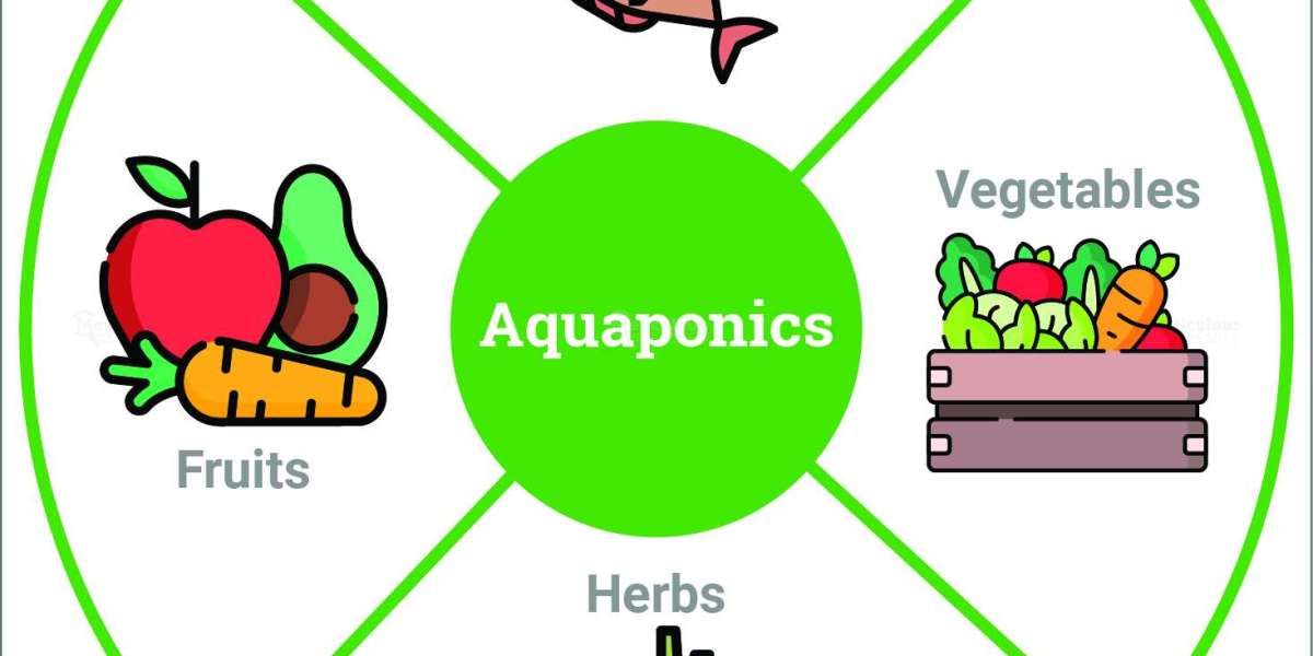 Changing Climatic Conditions Fuel the Growth of the Aquaponics Market