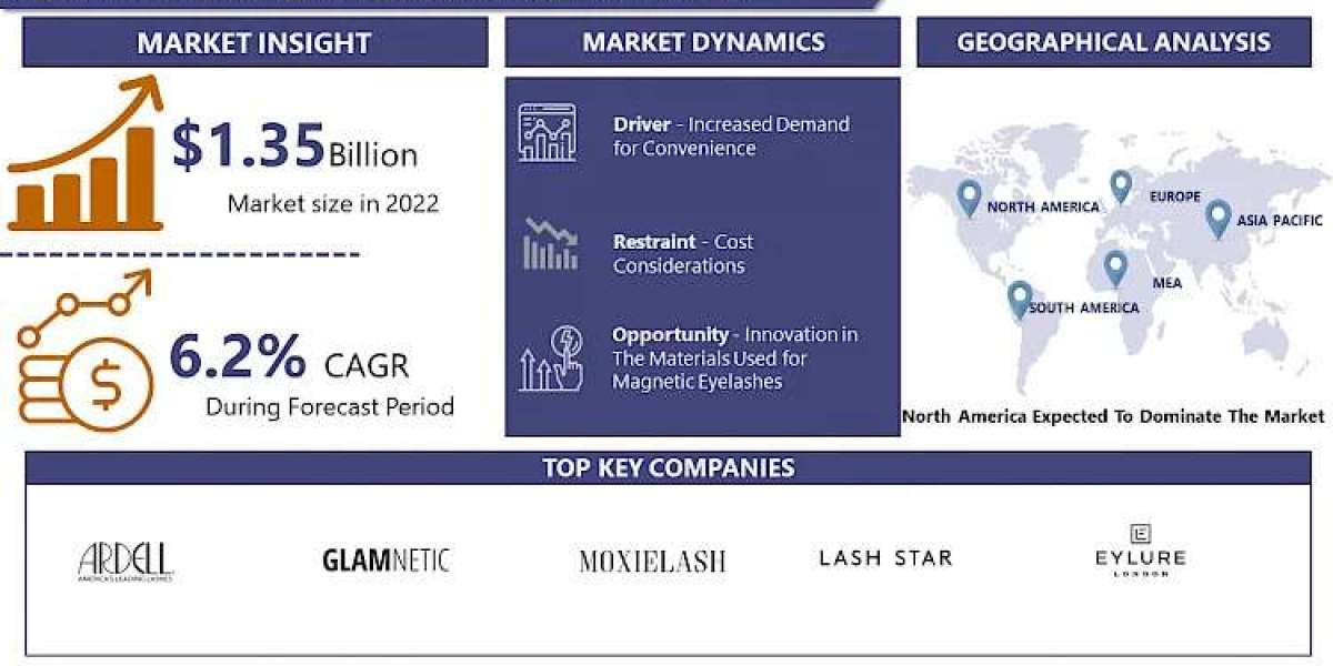 Magnetic Eyelashes Market Navigating the Market Landscape: Size, Growth, and Share