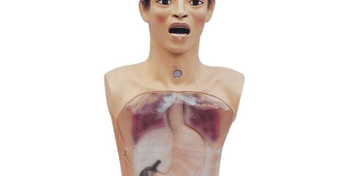 What Features Are Important for a Nursing Training Manikin?