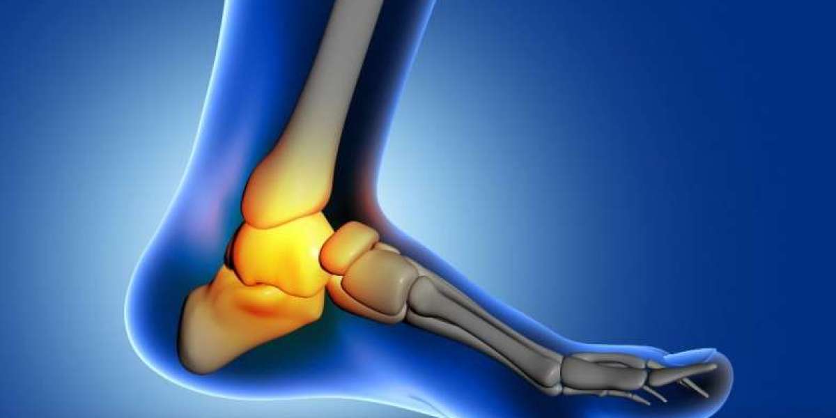 Tibial Base Market Supply-Demand, Industry Research And End User Analysis And Outlook Till 2033