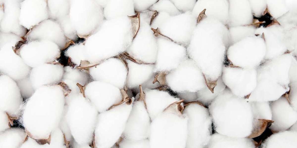 The Significance of CBOT Cotton in Modern Commodity Markets