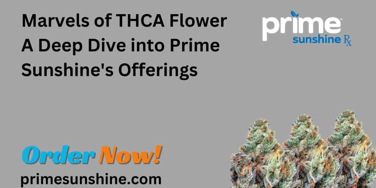 Marvels of THCA Flower A Deep Dive into Prime Sunshine's Offerings