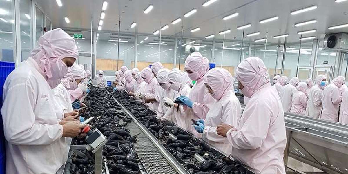 Eggplant Processing Plant Project Report 2024, Unit Operations, Machinery Requirements and Cost Analysis