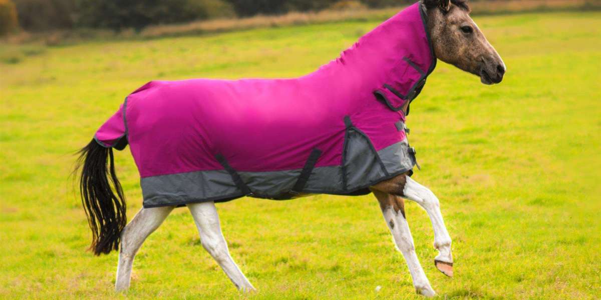 More Than Just Weatherproofing: Horse Rugs for Health, Comfort, and Performance