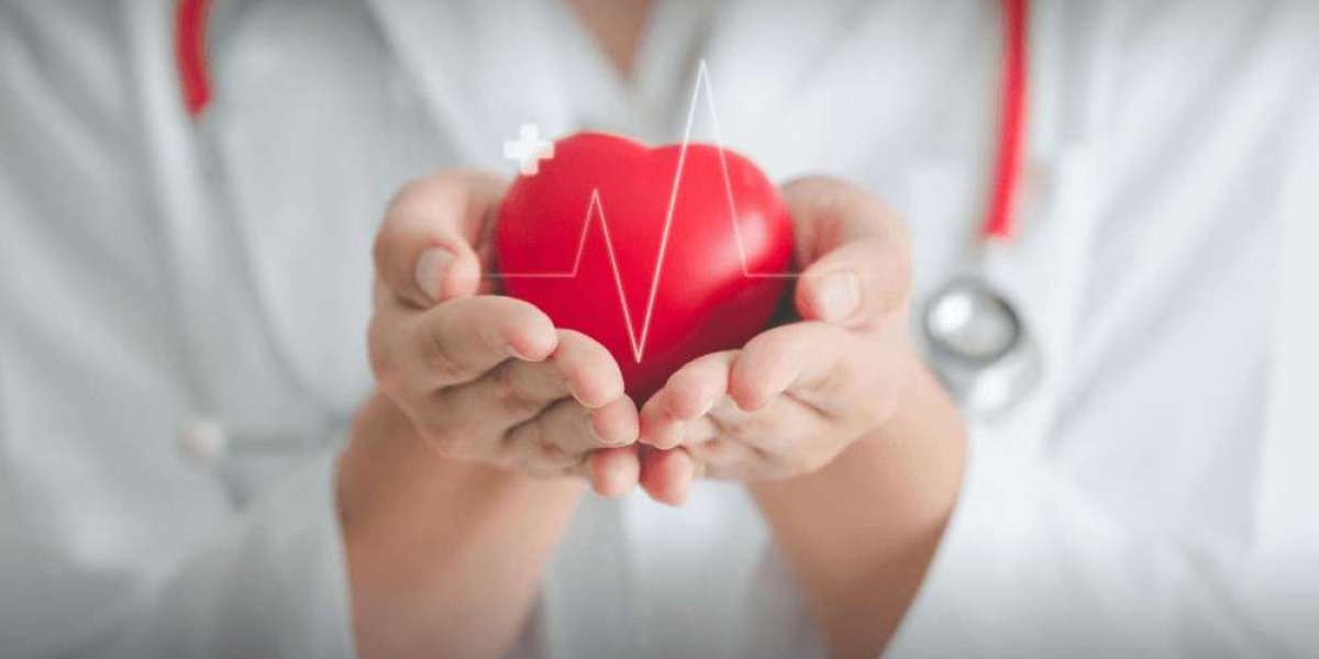 Cardiac Safety Services Market Research Report: Powering Responsible Drug Development
