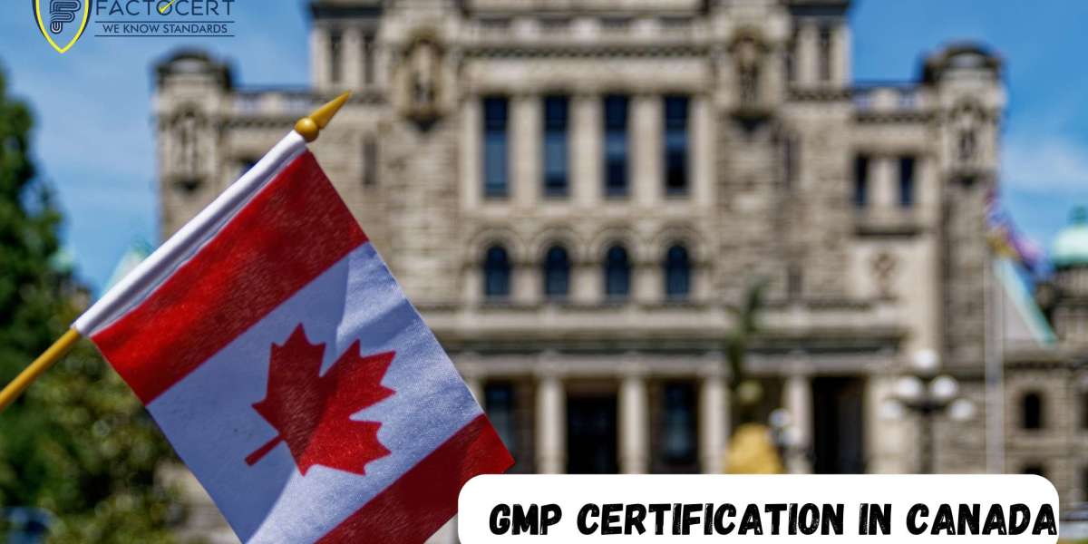 What steps are involved in achieving GMP Certification?