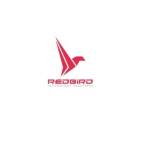 RedBird Technology Solutions