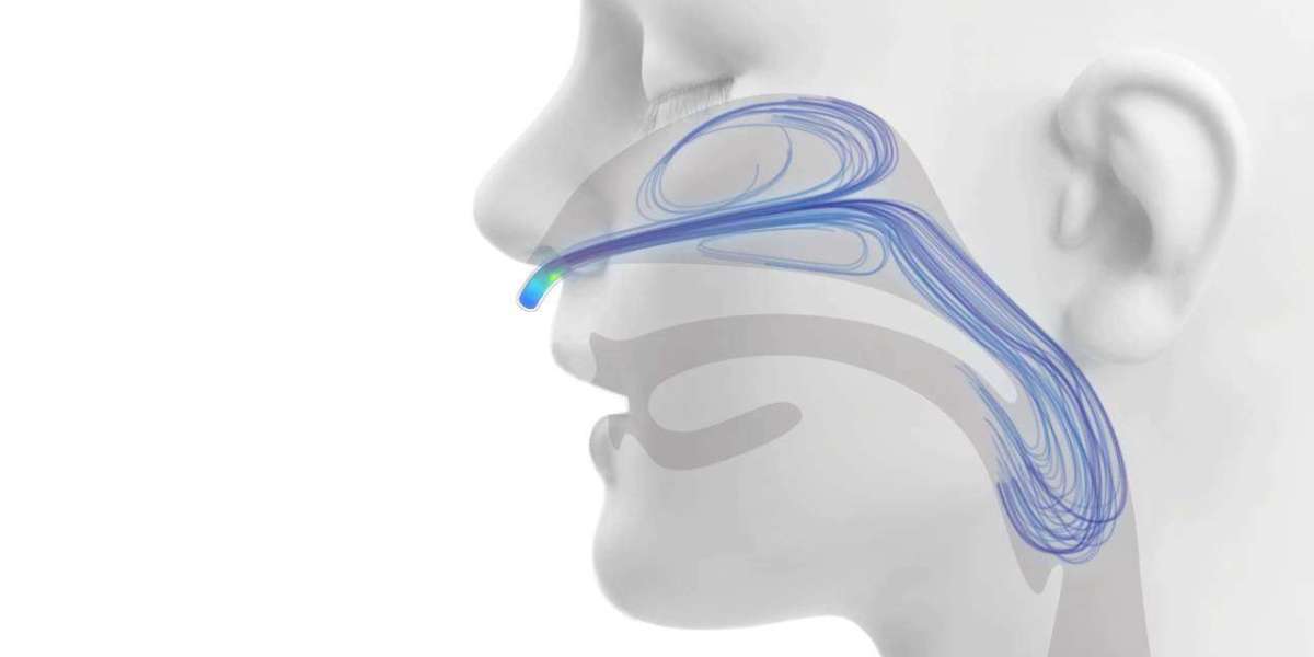 Nasal Oxygen Cannula Market Segment Strategies and Growth by Forecasts to 2030